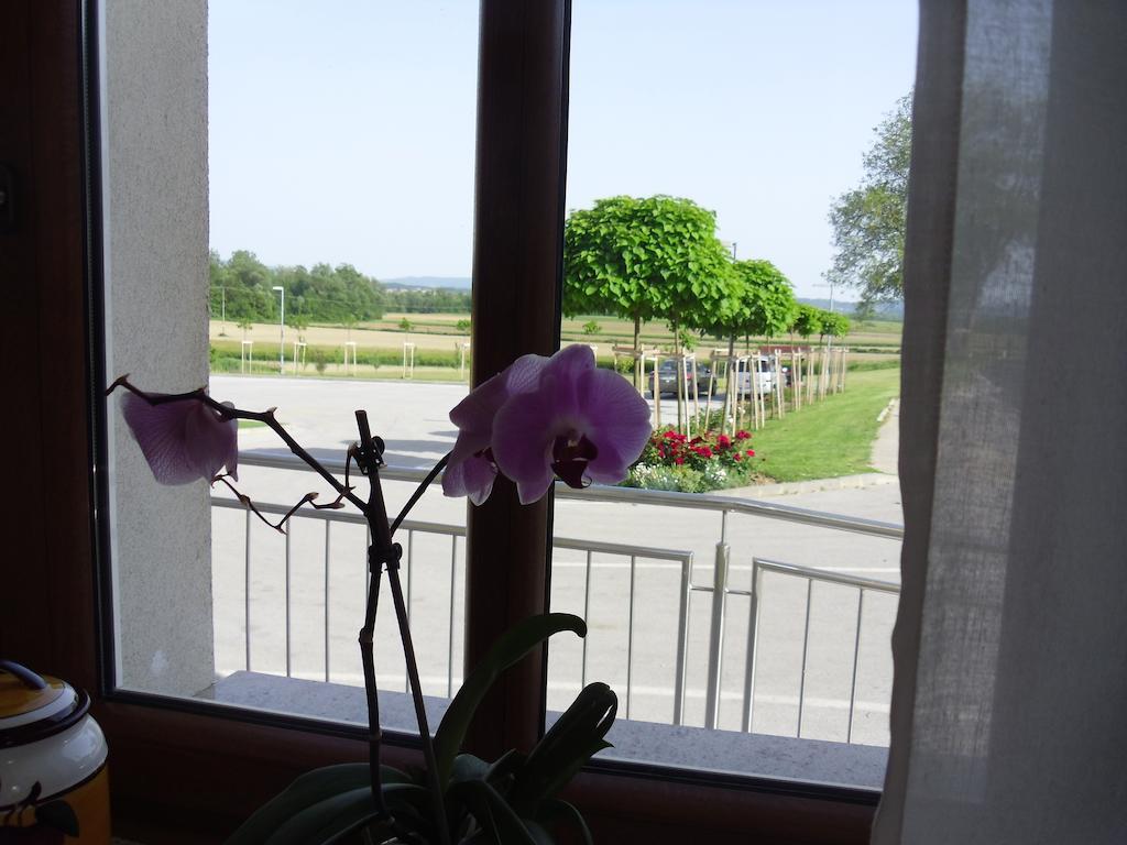 Hotel Gostilna In Prenocisce Kocjan à Bizeljsko Extérieur photo